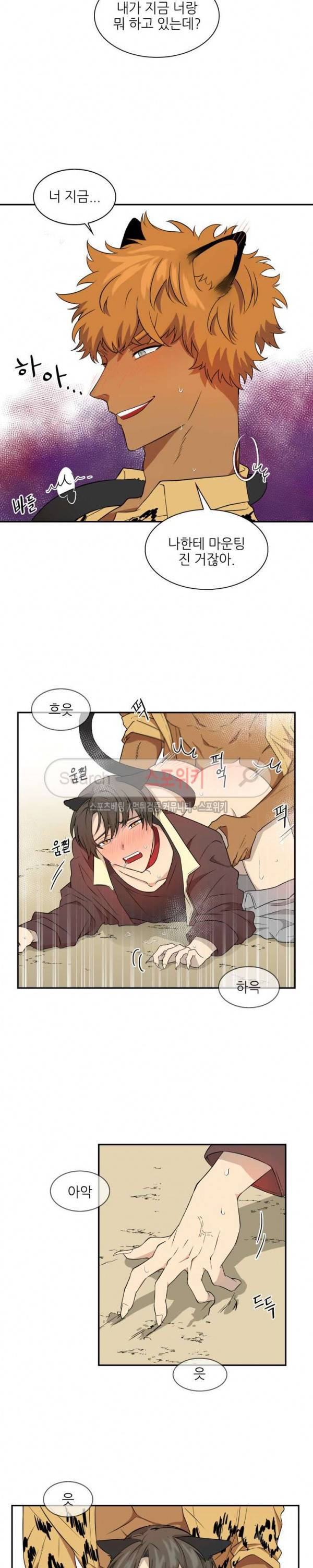 동물의 왕국 시즌2 2화 2