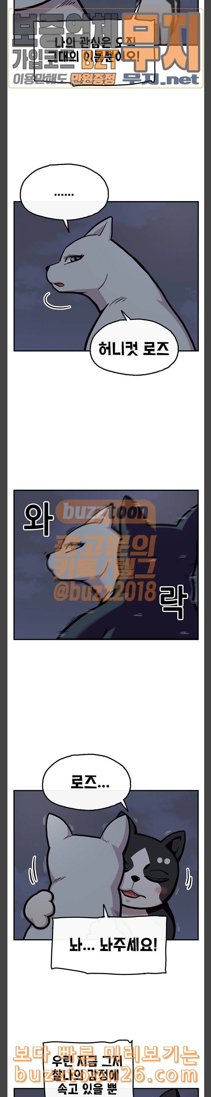 만물의 영장 26화 길고양이 전쟁 2 2
