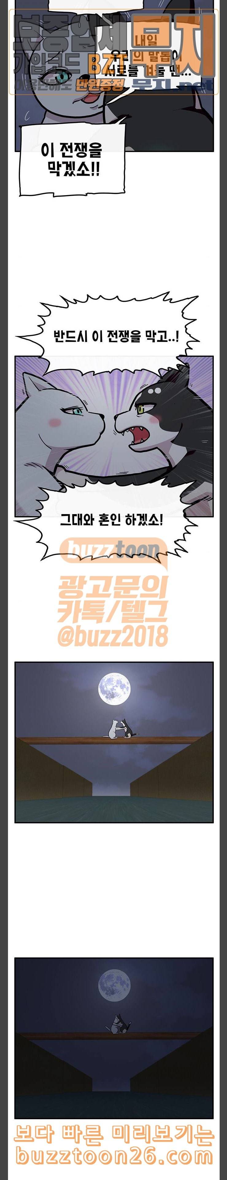 만물의 영장 26화 길고양이 전쟁 2 3