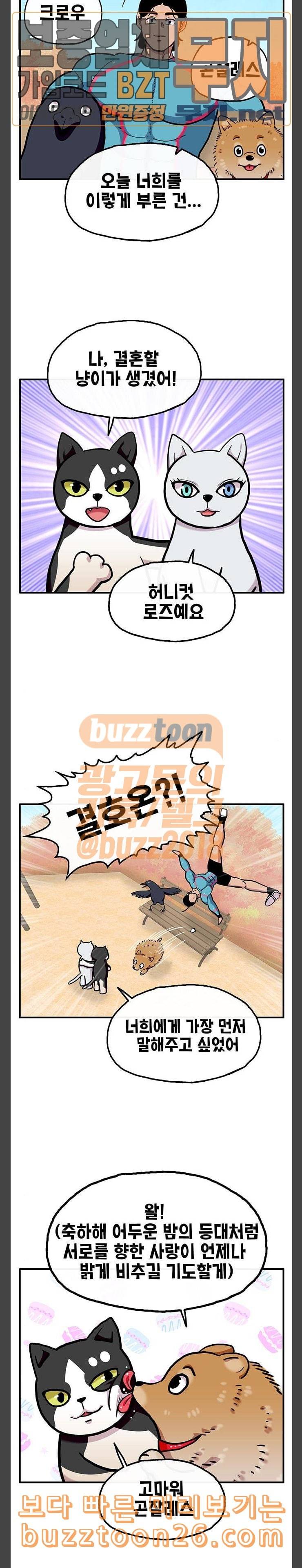 만물의 영장 26화 길고양이 전쟁 2 7