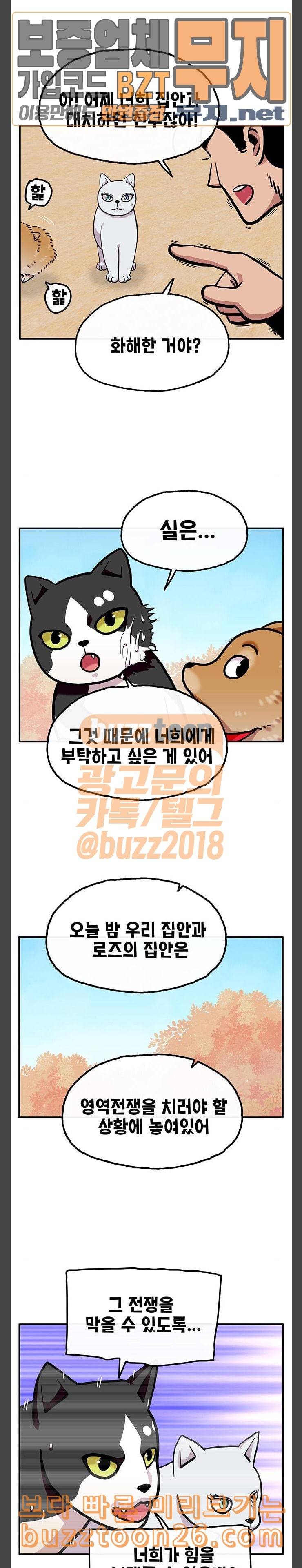 만물의 영장 26화 길고양이 전쟁 2 8
