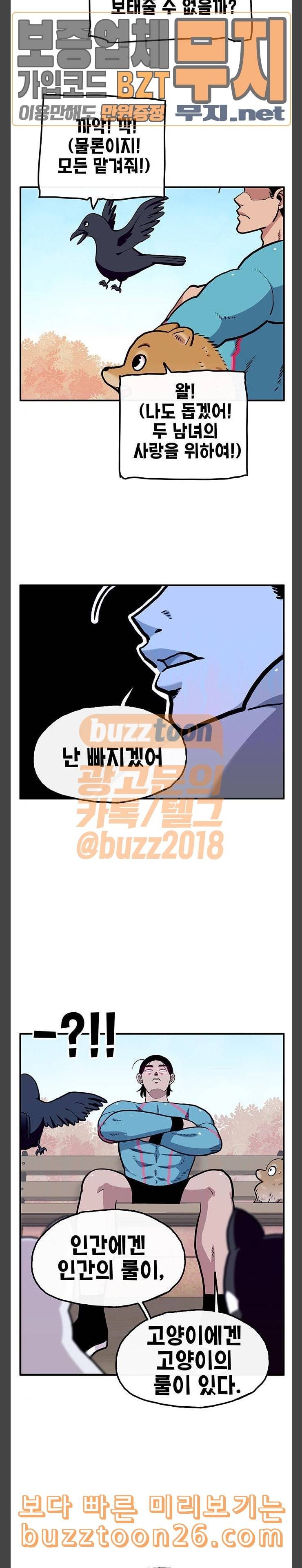 만물의 영장 26화 길고양이 전쟁 2 9