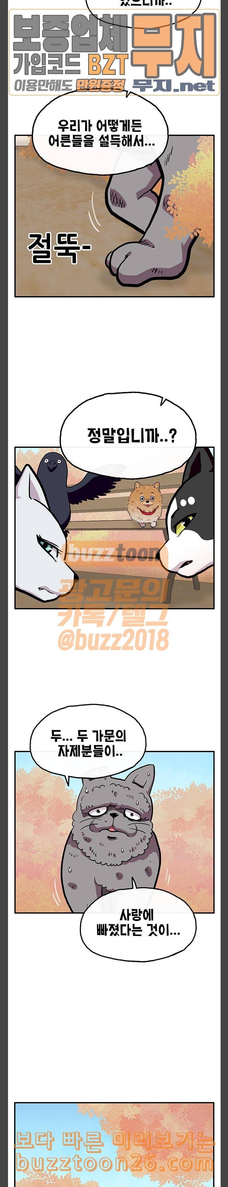 만물의 영장 26화 길고양이 전쟁 2 11