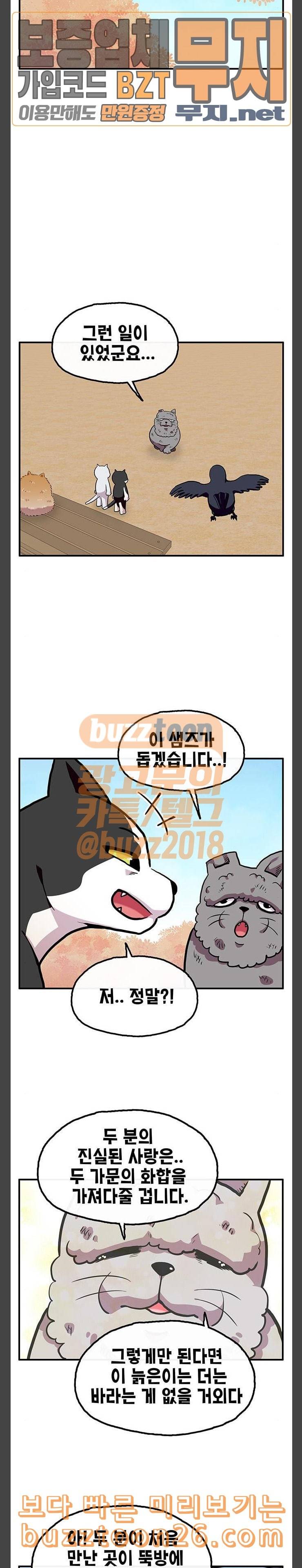 만물의 영장 26화 길고양이 전쟁 2 12