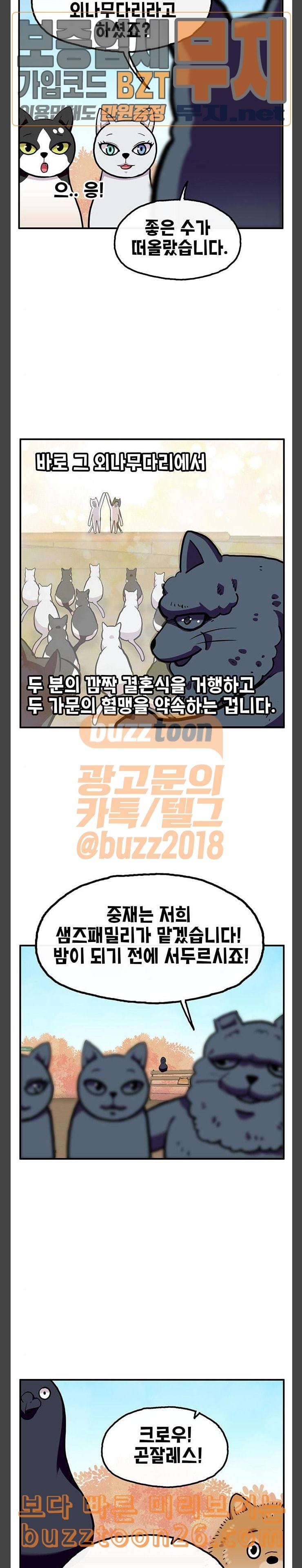 만물의 영장 26화 길고양이 전쟁 2 13