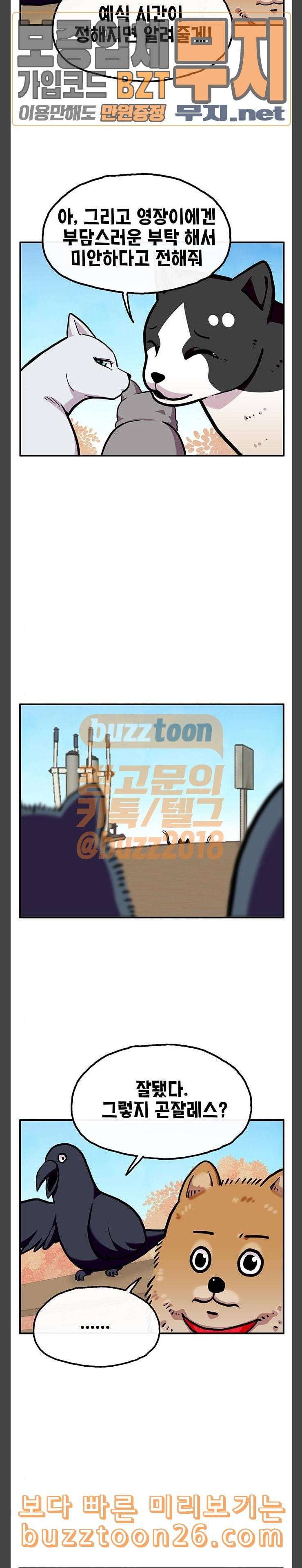 만물의 영장 26화 길고양이 전쟁 2 14