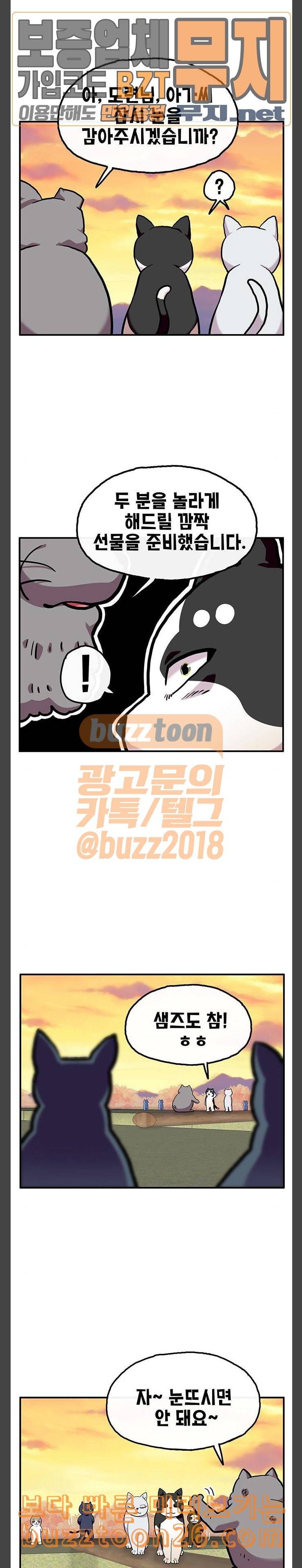 만물의 영장 26화 길고양이 전쟁 2 16