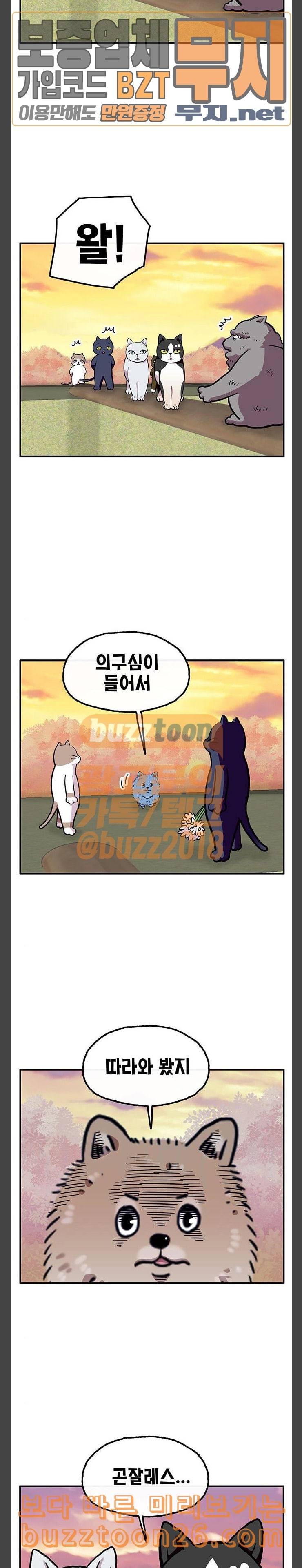 만물의 영장 26화 길고양이 전쟁 2 17