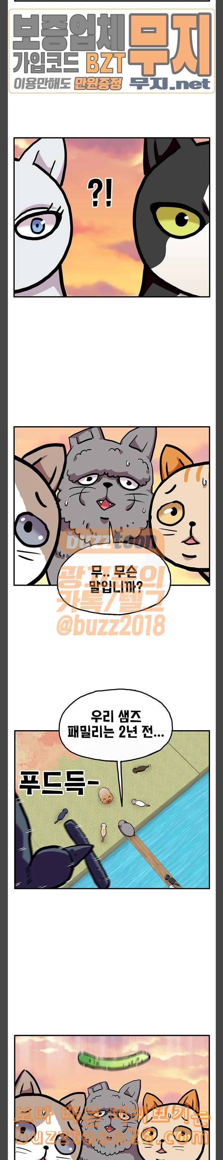 만물의 영장 26화 길고양이 전쟁 2 19