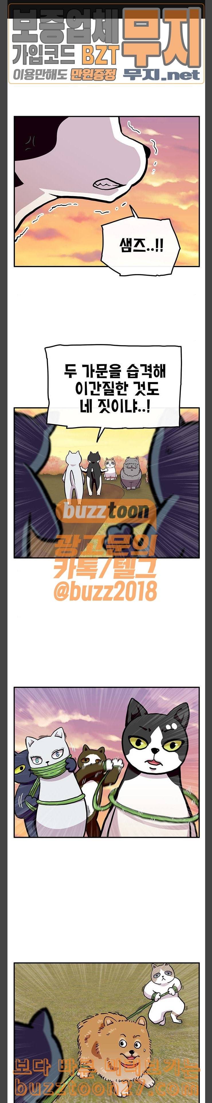 만물의 영장 27화 길고양이 전쟁 3 1