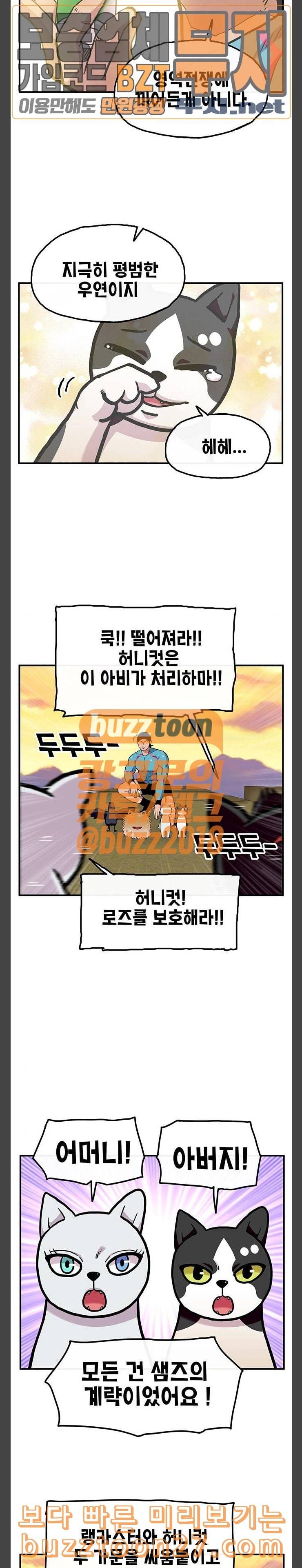 만물의 영장 27화 길고양이 전쟁 3 12
