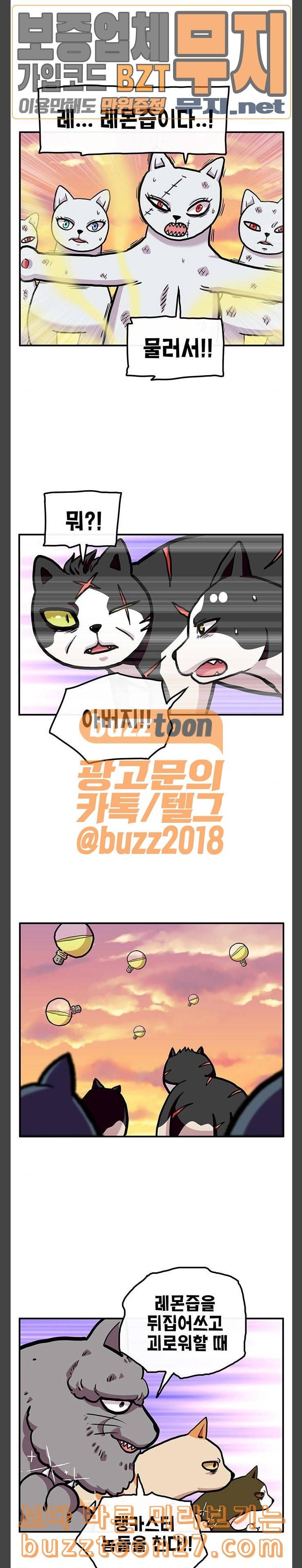 만물의 영장 27화 길고양이 전쟁 3 15