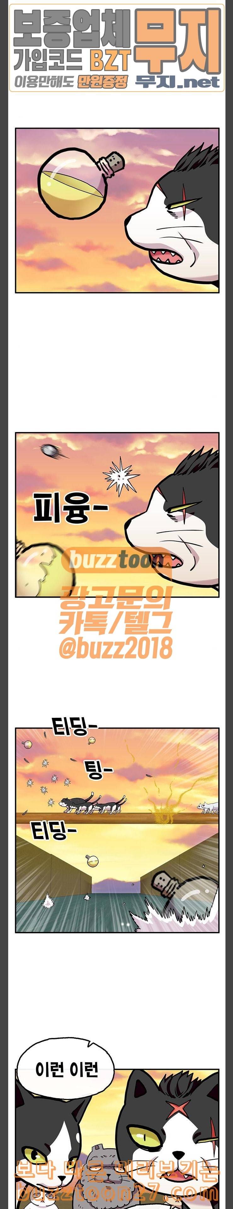 만물의 영장 27화 길고양이 전쟁 3 17