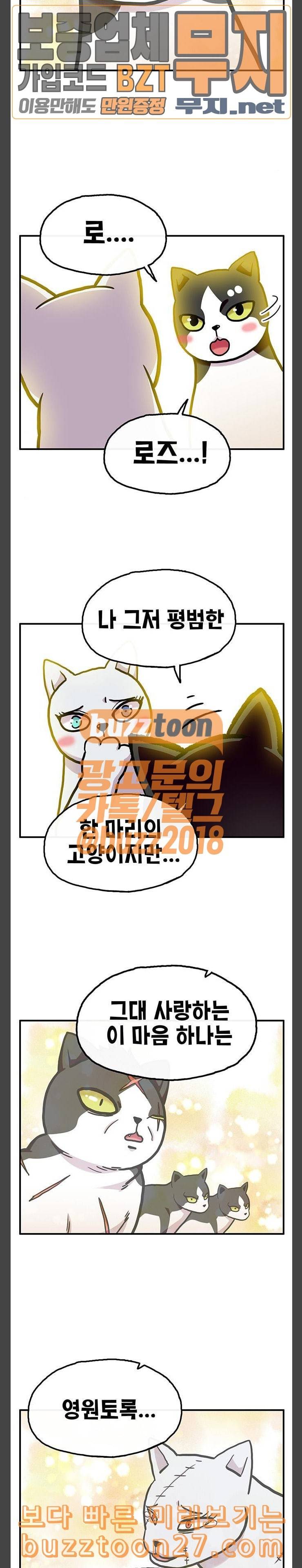 만물의 영장 27화 길고양이 전쟁 3 29
