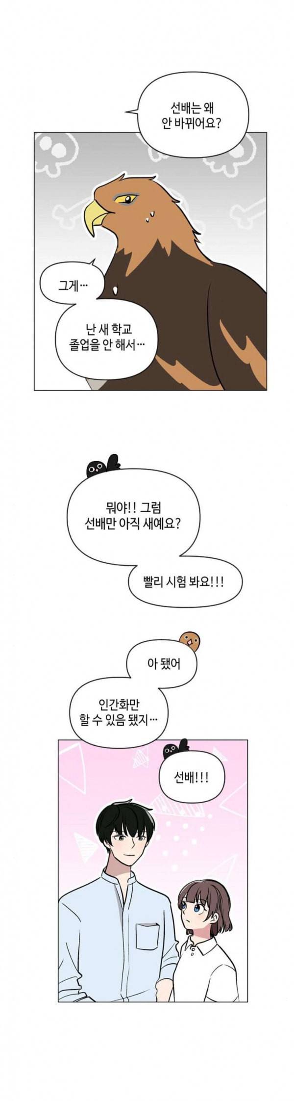 참새는 새신부 마지막화 12
