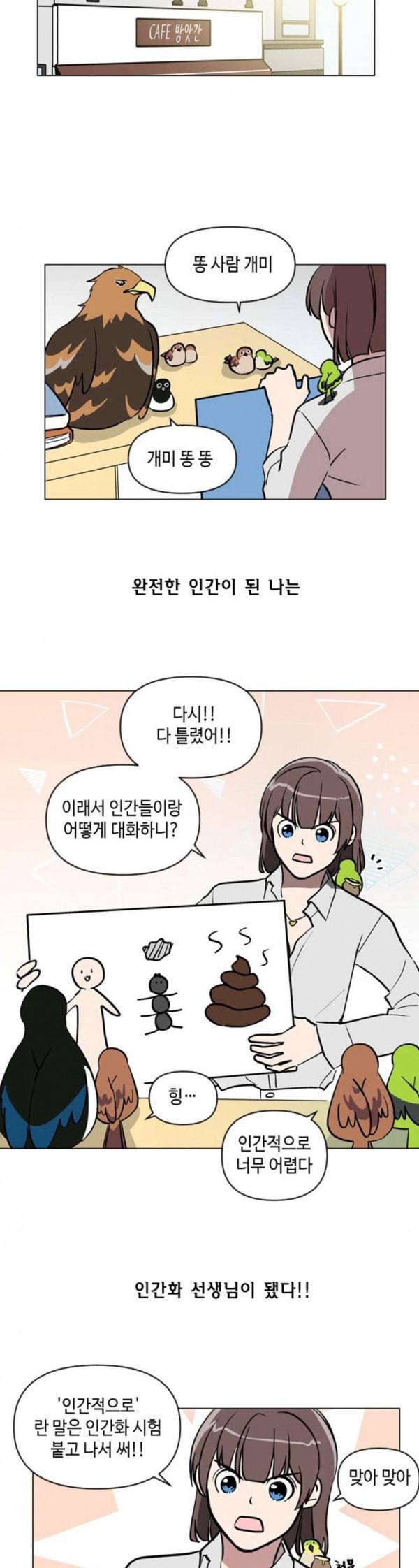 참새는 새신부 마지막화 14