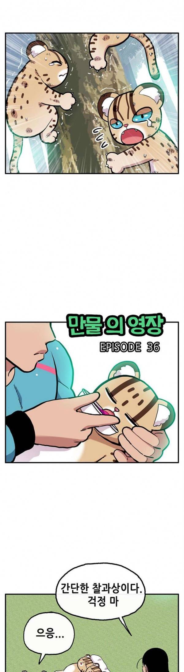 만물의 영장 36화 3