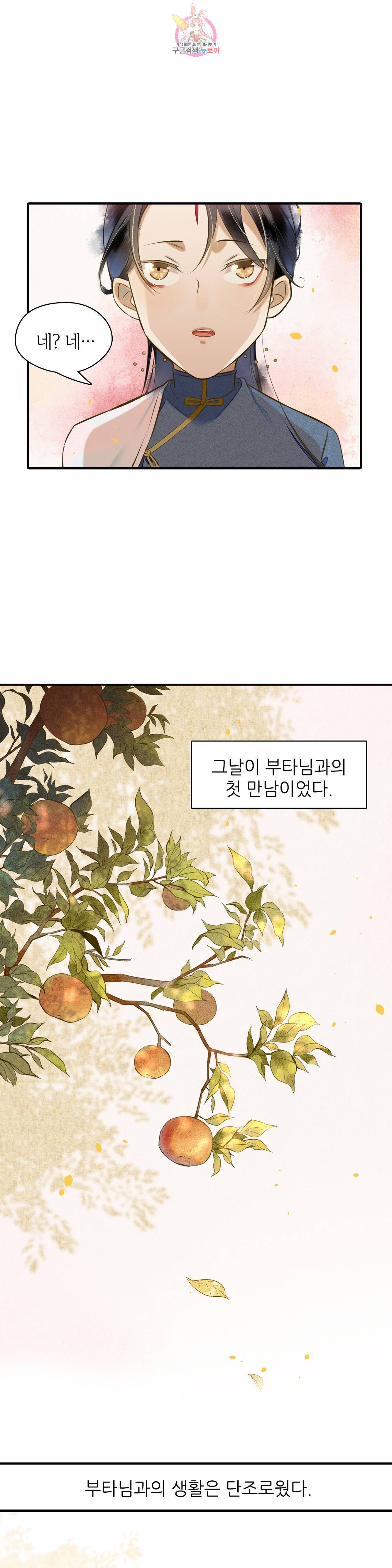 극락 환상의 밤 11화 4