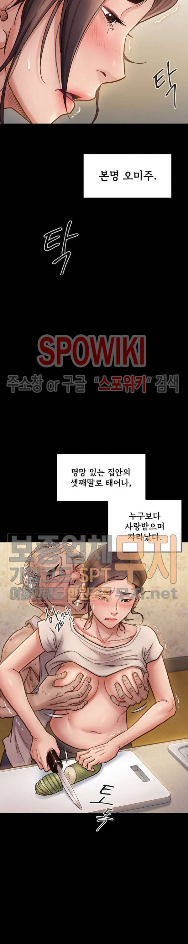 도화 13화 5