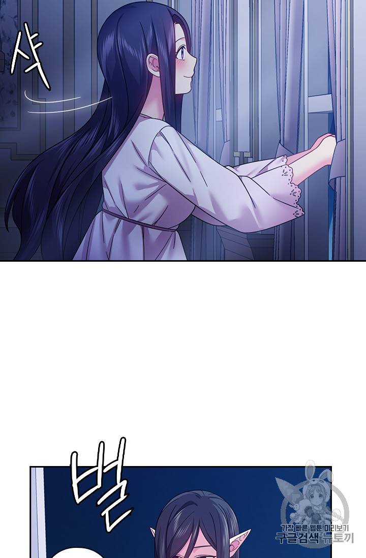 왕의 공녀 111화 33