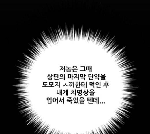 호랑이형님 2부 173화 대방모의 계획 2 24