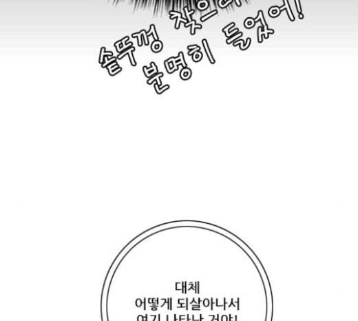호랑이형님 2부 173화 대방모의 계획 2 28