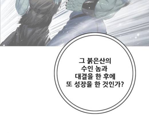 호랑이형님 2부 173화 대방모의 계획 2 143