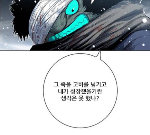 호랑이형님 2부 173화 대방모의 계획 2 171