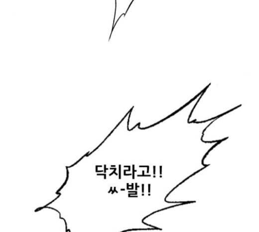 호랑이형님 2부 174화 대방모의 계획 3 10