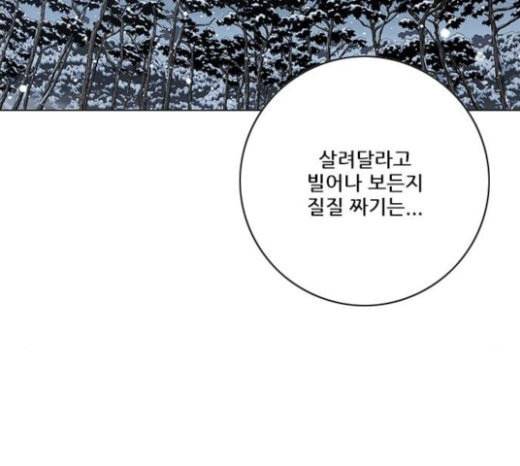 호랑이형님 2부 174화 대방모의 계획 3 14