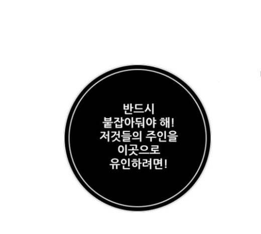 호랑이형님 2부 174화 대방모의 계획 3 83