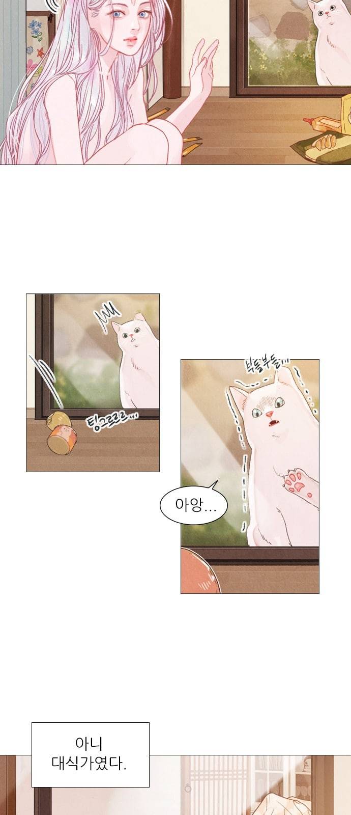 신비 4화 7