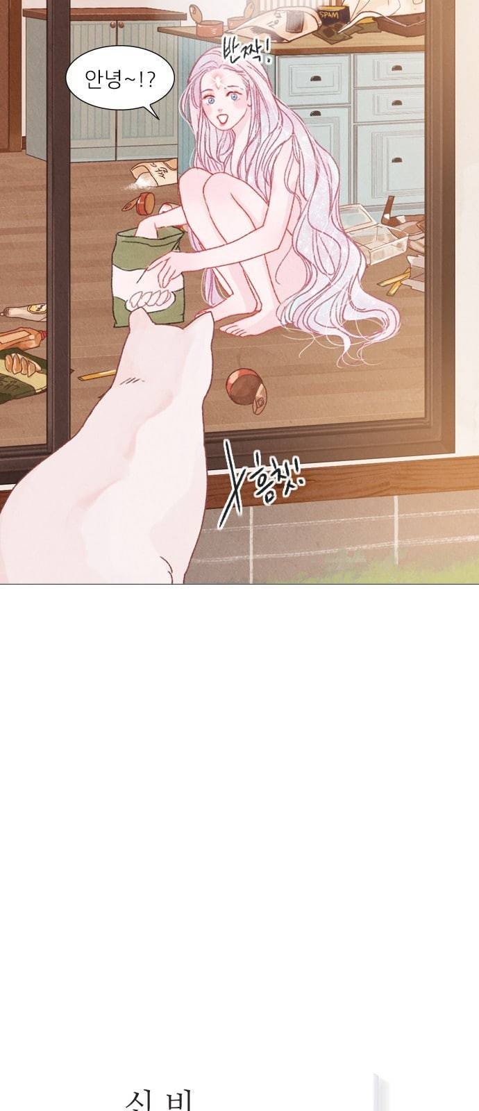 신비 4화 8