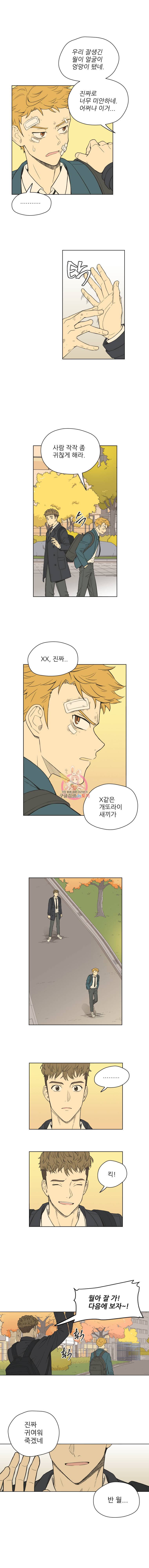 주간소년열애사 127화 2
