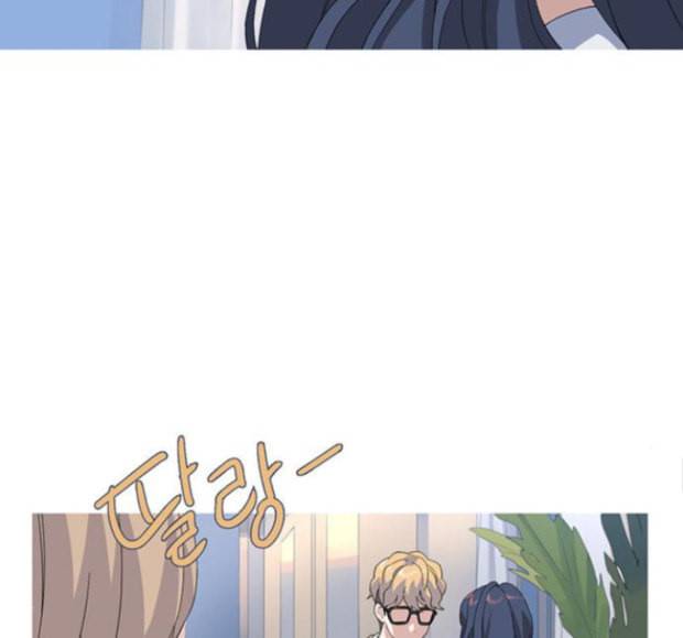 소심한 팔레트 44 43