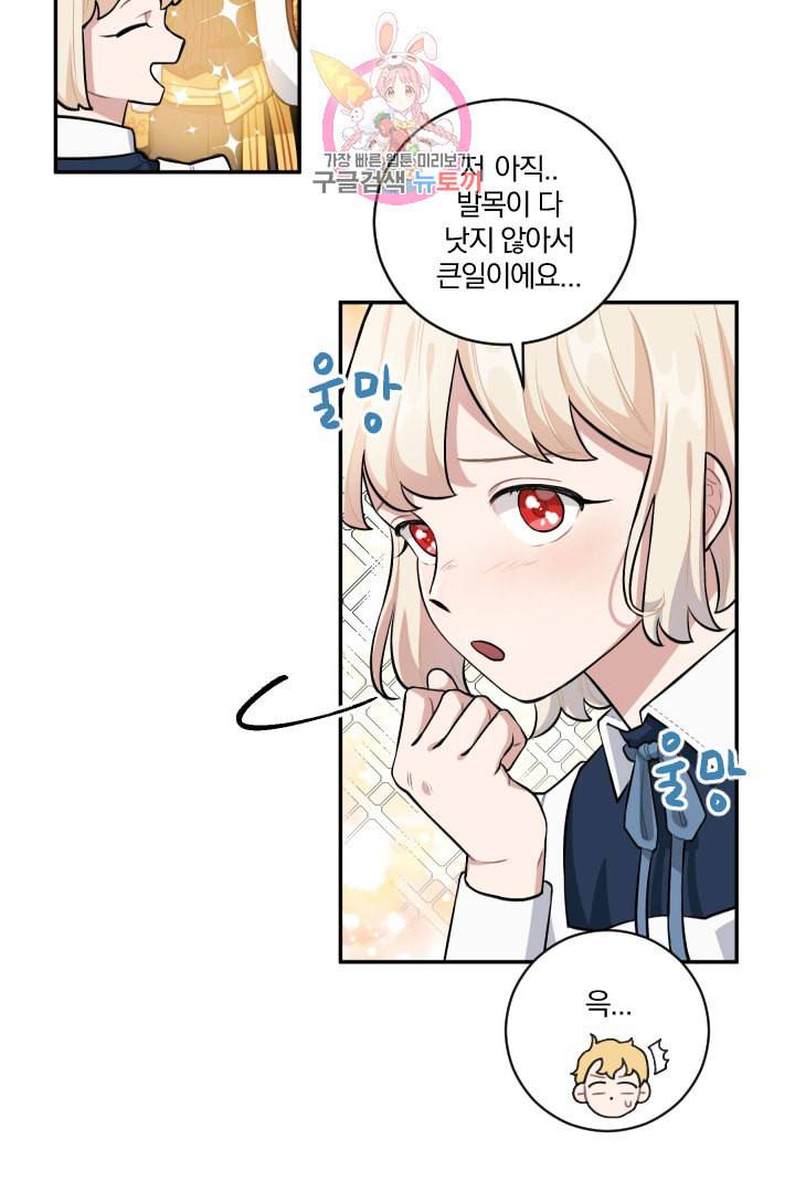 TL 소설 속 시녀가 되었습니다 17화 49