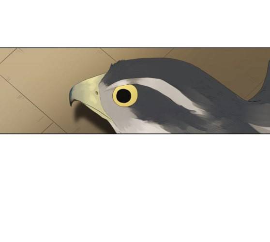 더 복서 38화 그림자 1