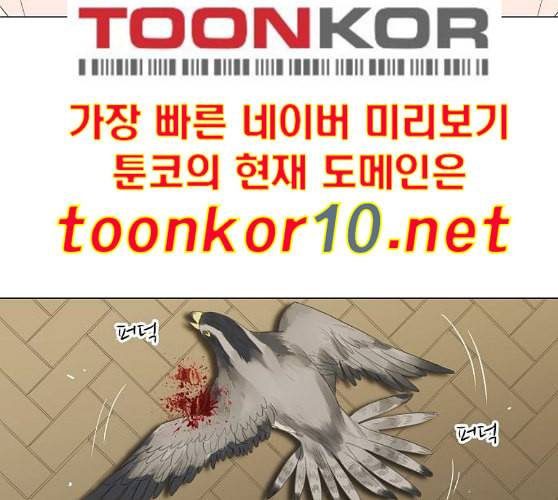 더 복서 38화 그림자 7