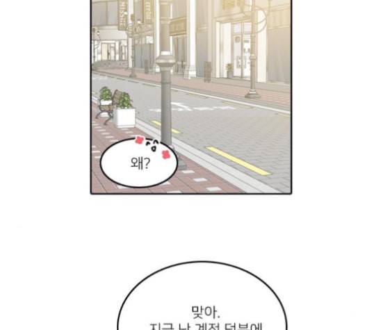 인싸라이프 38화 11