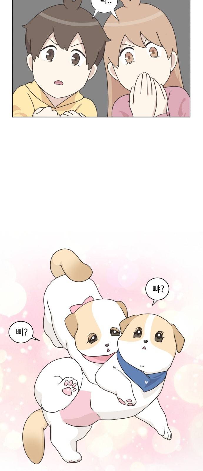 개를 낳았다 시즌2 3화 4