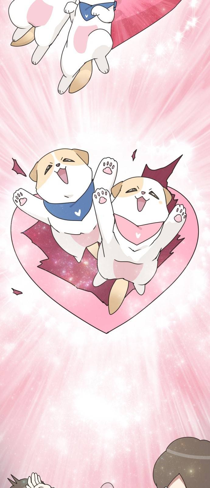 개를 낳았다 시즌2 3화 6