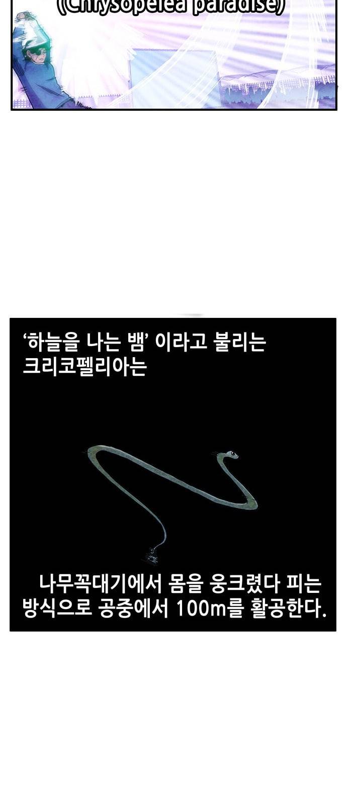 만물의 영장 52화 엄마 X 가을 운동회 끝 31