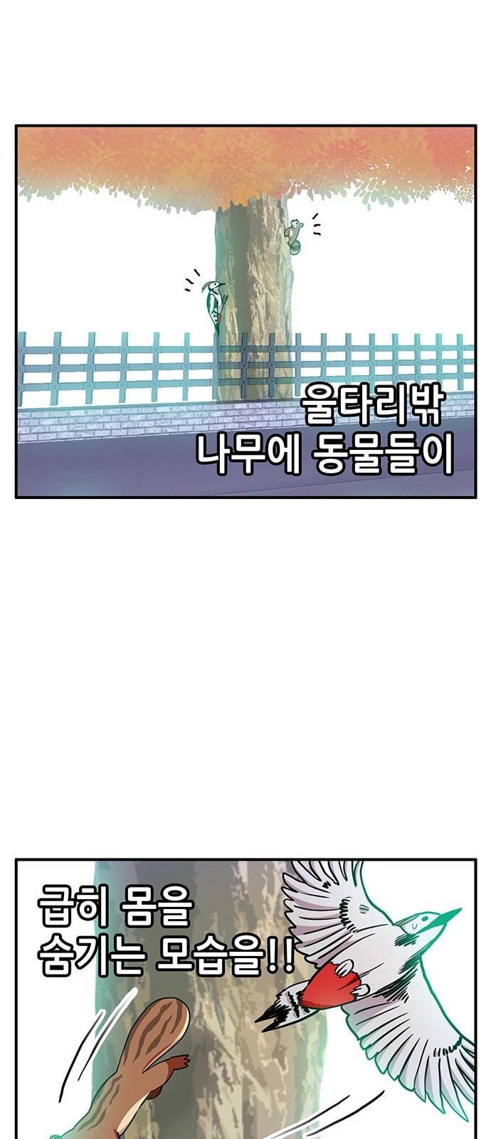 만물의 영장 52화 엄마 X 가을 운동회 끝 52