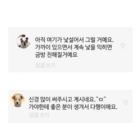 개를 낳았다 시즌2 12화 4