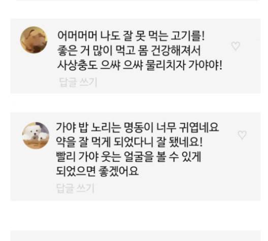 개를 낳았다 시즌2 12화 5