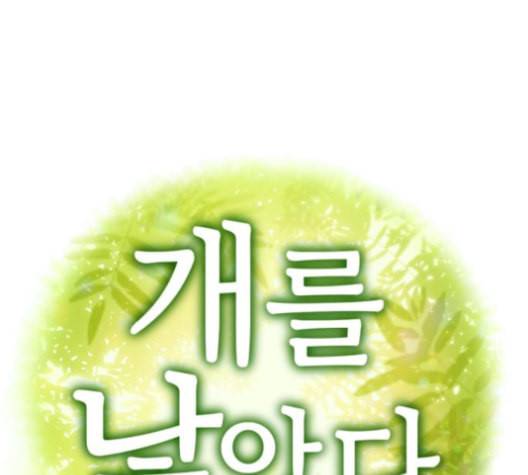 개를 낳았다 시즌2 12화 8