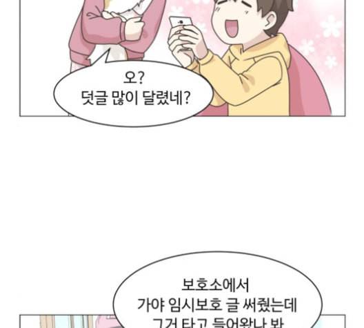 개를 낳았다 시즌2 12화 13