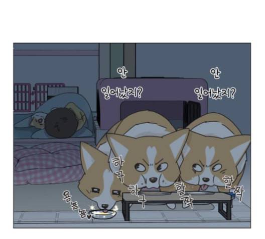 개를 낳았다 시즌2 12화 23