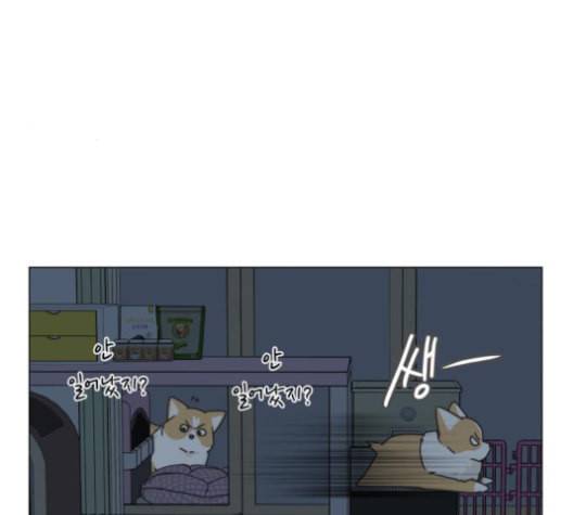 개를 낳았다 시즌2 12화 24
