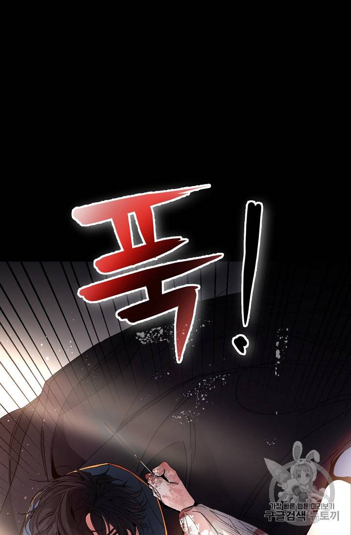 소설 속 악녀 황제가 되었다 1화 60